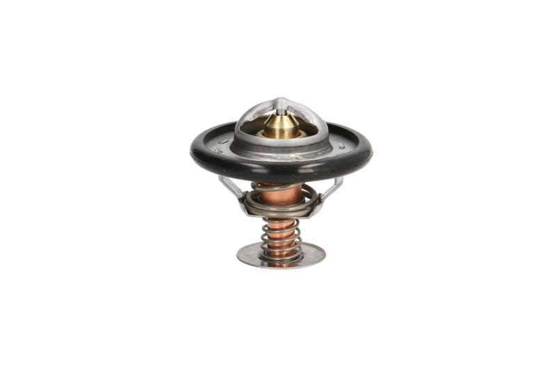 Termostat THERMOTEC D2C002TT
