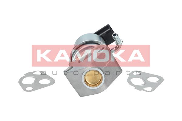 Zawór EGR KAMOKA 19004
