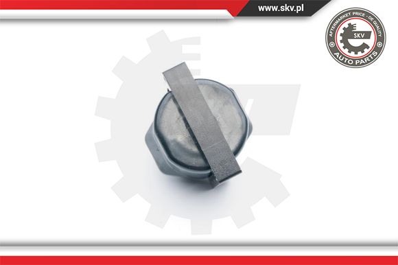 Cewka zapłonowa ESEN SKV 03SKV253
