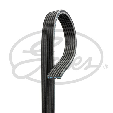 Pasek klinowy wielorowkowy GATES 6DPK1188