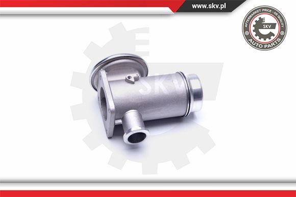 Zawór EGR ESEN SKV 14SKV175