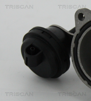 Zawór EGR TRISCAN 8813 29057