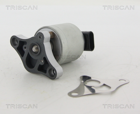 Zawór EGR TRISCAN 8813 24002