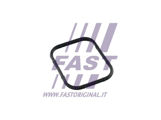 Uszczelka kolektora ssącego FAST FT49421
