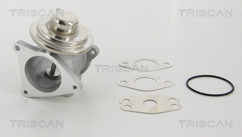 Zawór EGR TRISCAN 8813 29111