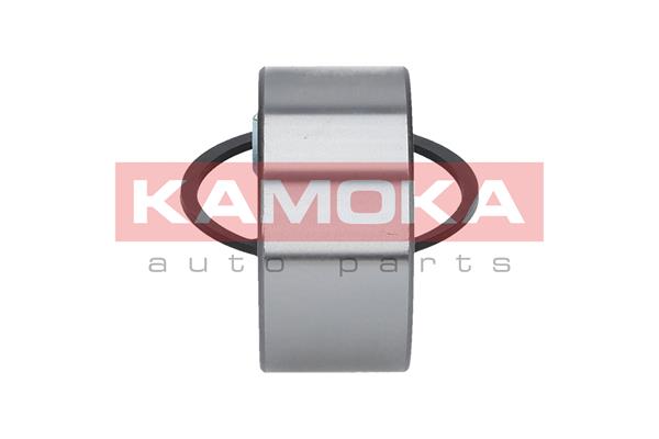 Zestaw łożysk koła KAMOKA 5600032