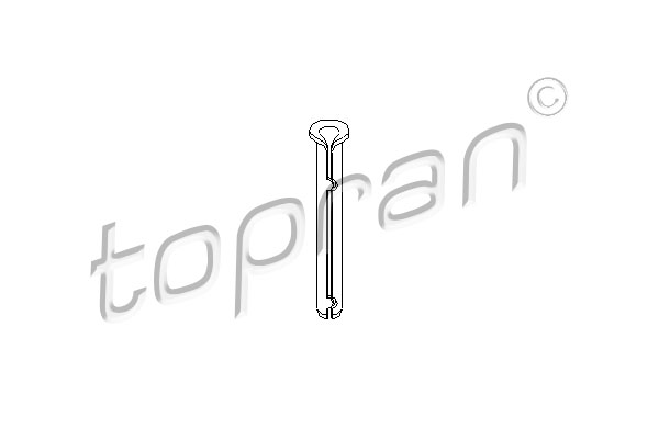 Zawias drzwi TOPRAN 206 055