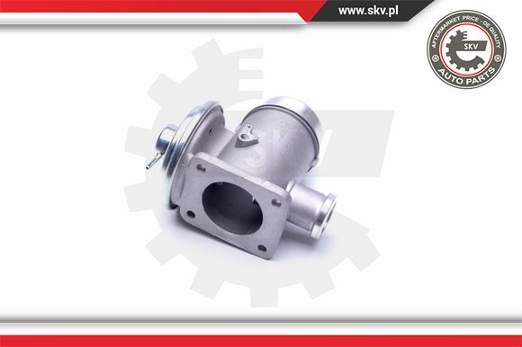 Zawór EGR ESEN SKV 14SKV176