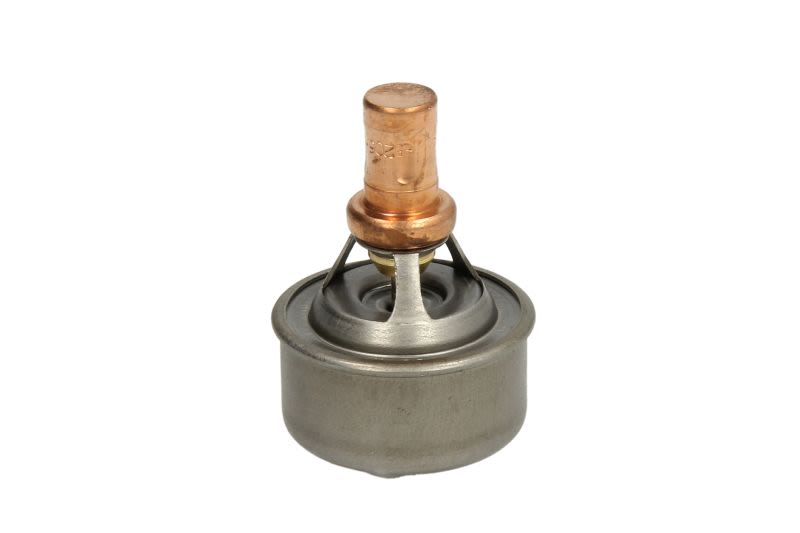 Termostat CALORSTAT BY VERNET TH4495.83