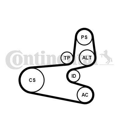 Zestaw paska osprzętu CONTINENTAL CTAM 6PK1560K1