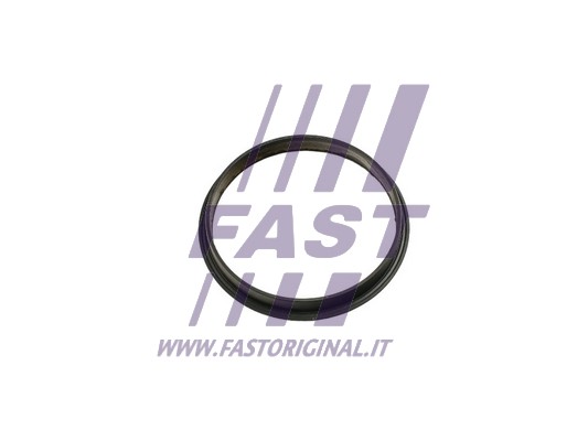 Uszczelka pompy podcisnieniowej FAST FT49853