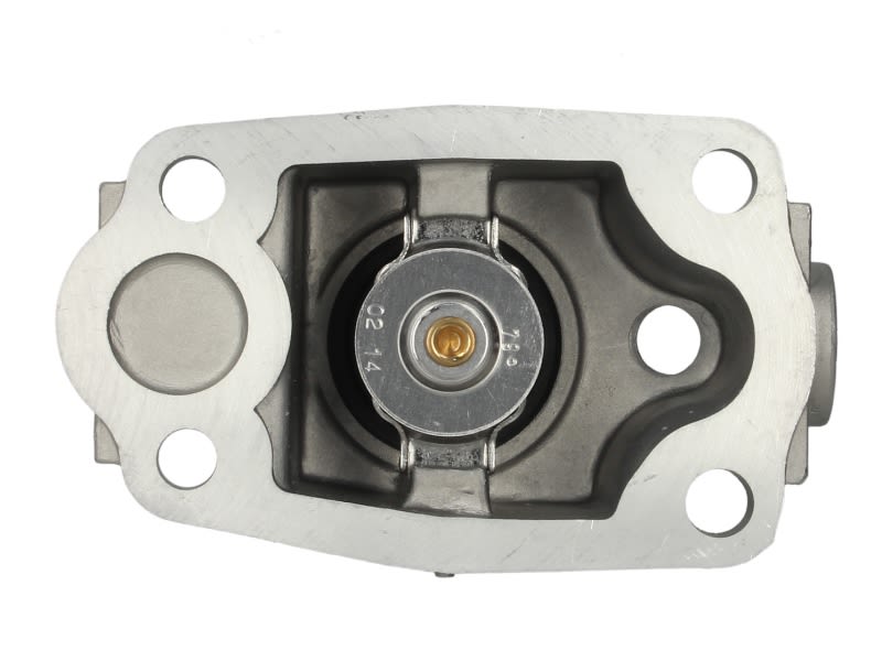 Termostat WAHLER 410081.79D