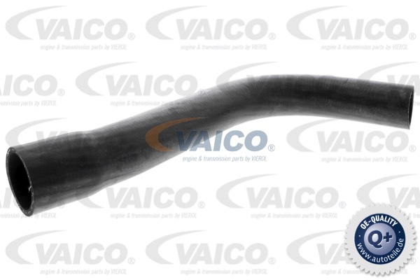 Przewód układu chłodzenia VAICO V30-0241