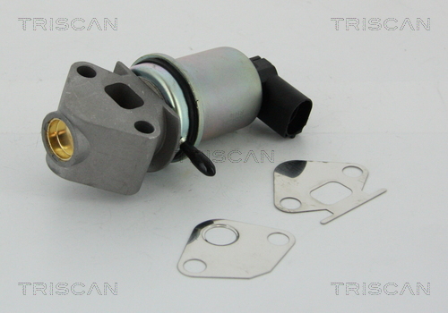 Zawór EGR TRISCAN 8813 29004