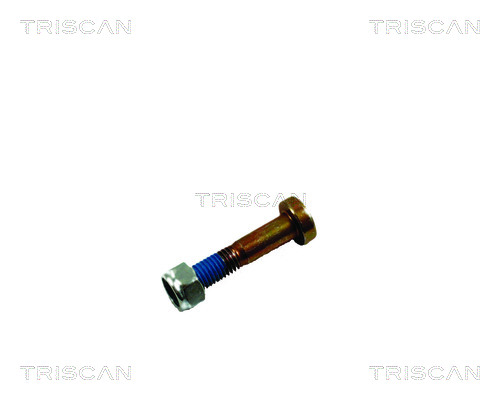 Zestaw montażowy wahacza TRISCAN 8500 16861