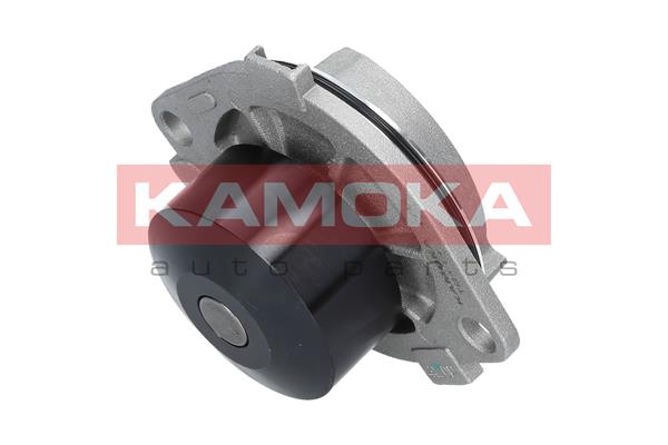 Pompa wody KAMOKA T0111