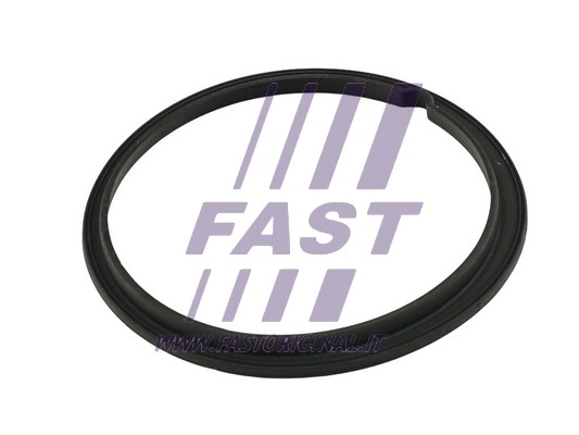 Uszczelka kosza pompy paliwa FAST FT48502