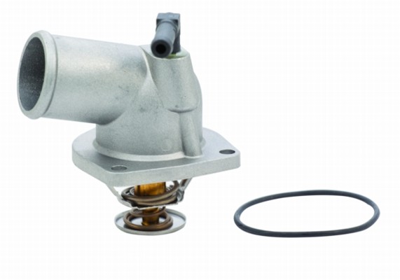 Termostat MEAT & DORIA 92056