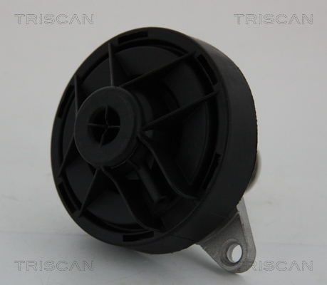 Zawór EGR TRISCAN 8813 24202