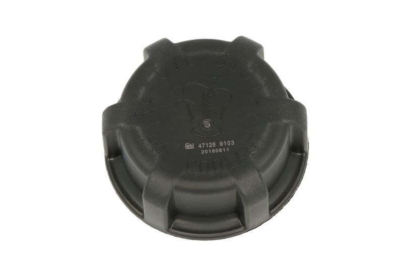 Korek zbiorniczka wyrównawczego FEBI BILSTEIN 47126