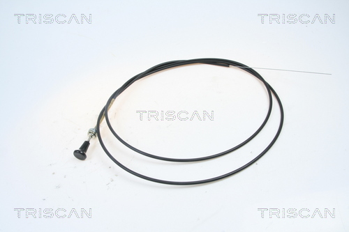 Oś przepustnicy, gaźnik TRISCAN 8140 91003