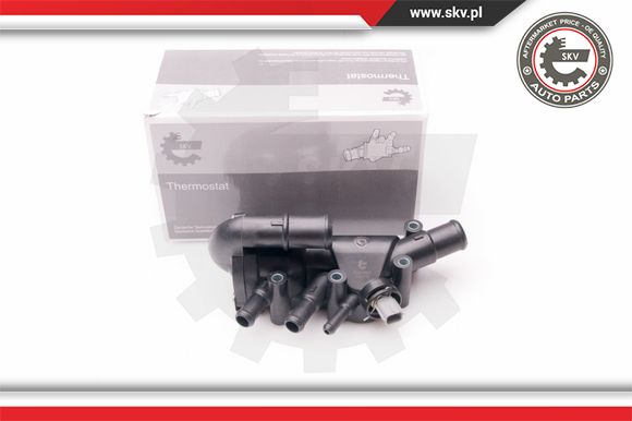 Termostat ESEN SKV 20SKV066