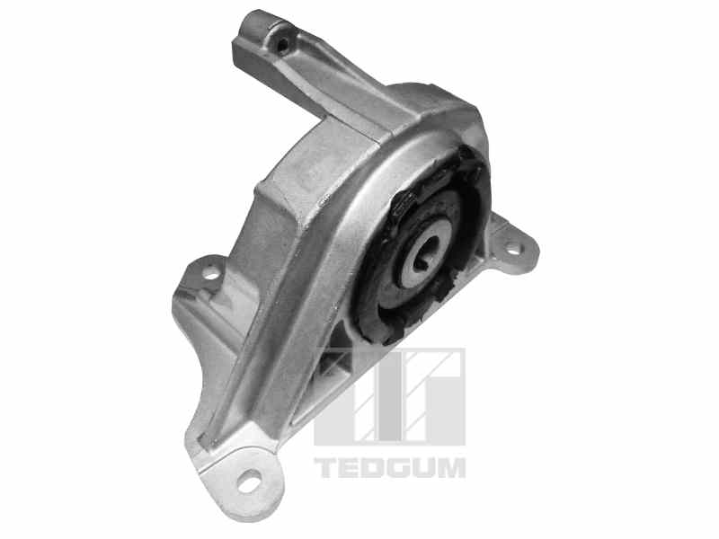 Poduszka silnika TEDGUM 00215780