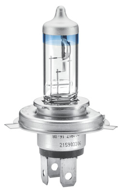 Żarówka HELLA 8GJ 223 498-021