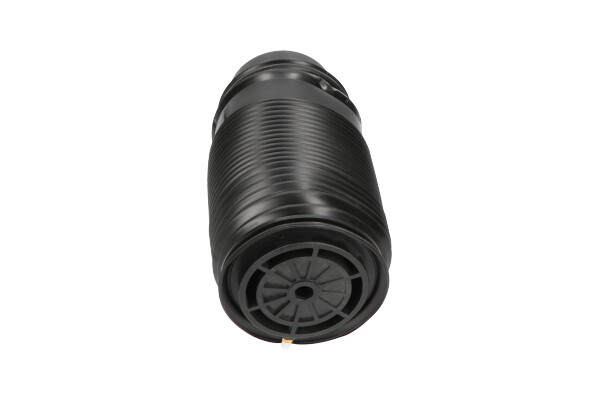 Poduszka powietrzna, zawieszenie KAVO PARTS SAS-10014
