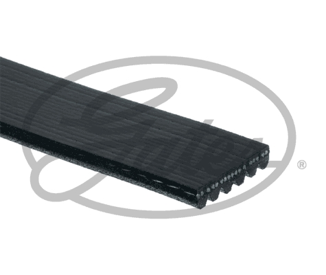 Pasek klinowy wielorowkowy GATES 6PK1843XS