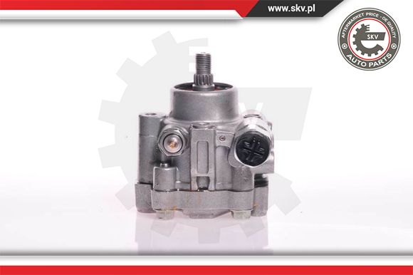 Pompa wspomagania ESEN SKV 10SKV132
