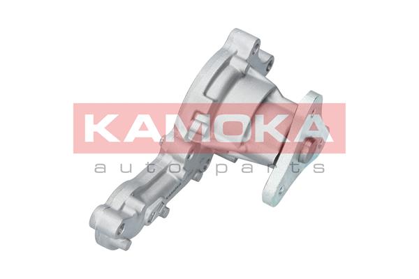Pompa wody KAMOKA T0150