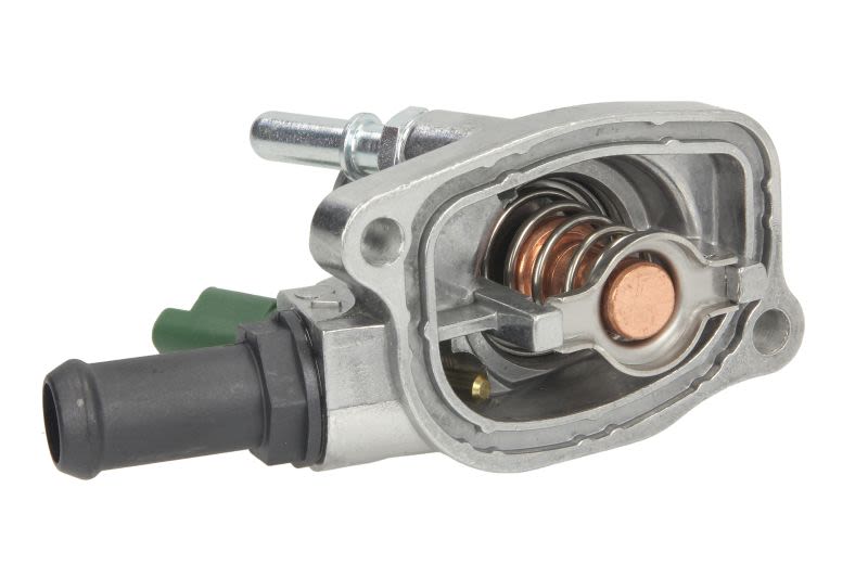 Termostat THERMOTEC D2F003TT