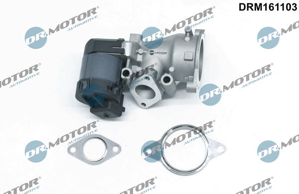 Zawór EGR DR.MOTOR AUTOMOTIVE DRM161103