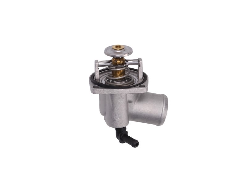 Termostat BEHR TI 55 92D