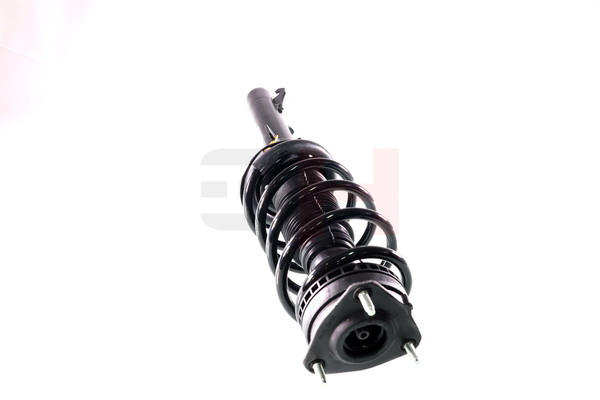 Amortyzator teleskopowy GH GH-352555C02
