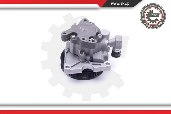 Pompa wspomagania ESEN SKV 10SKV273