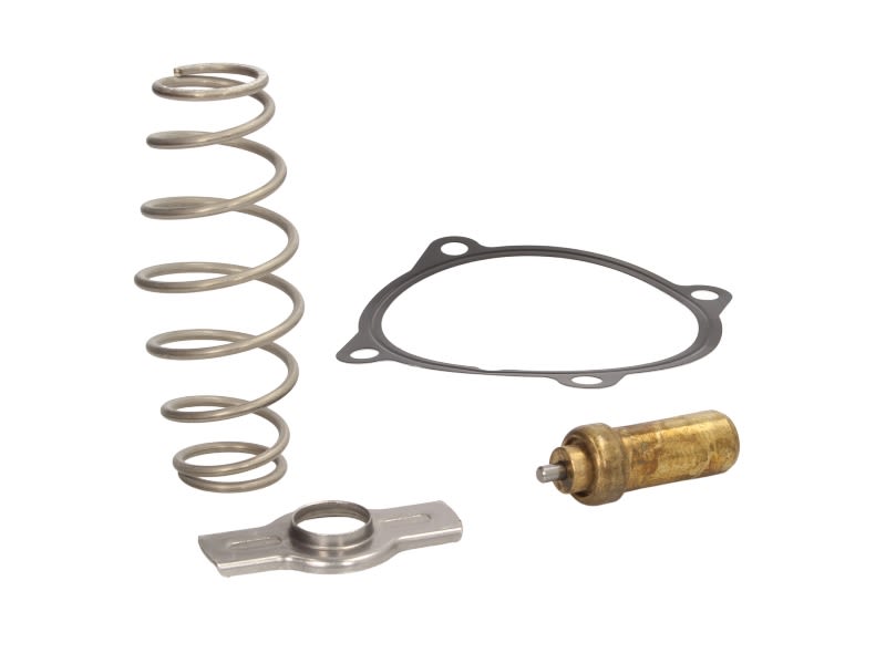 Termostat MAHLE TX 51 79D