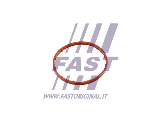 Uszczelka pompy podcisnieniowej FAST FT50701