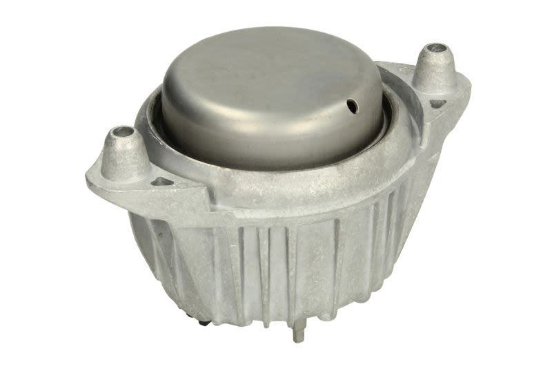 Poduszka silnika TEDGUM TED39310