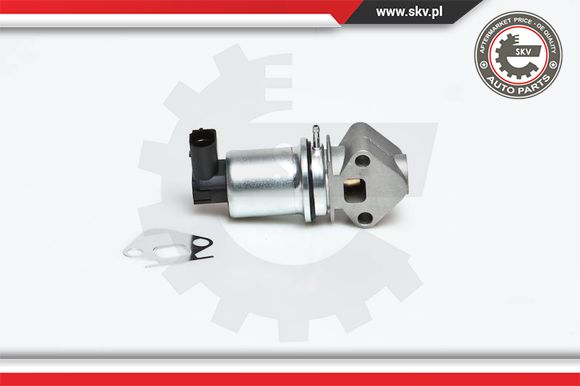 Zawór EGR ESEN SKV 14SKV007