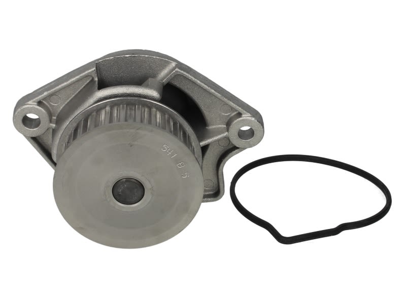 Pompa wody HEPU P541