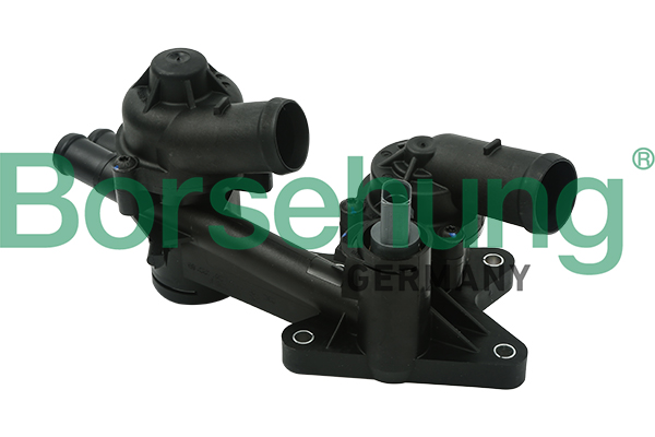 Termostat BORSEHUNG B18249