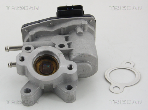 Zawór EGR TRISCAN 8813 14100