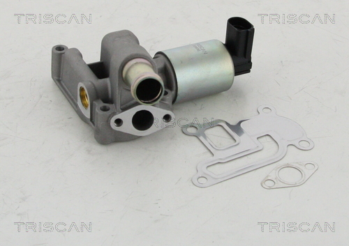 Zawór EGR TRISCAN 8813 24003