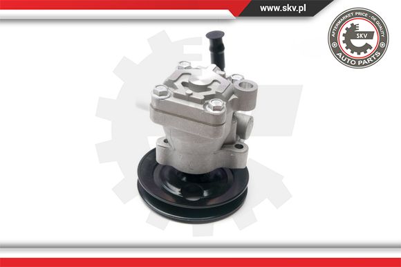 Pompa wspomagania ESEN SKV 10SKV200
