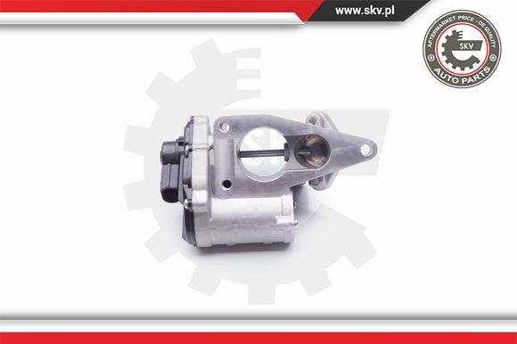 Zawór EGR ESEN SKV 14SKV168