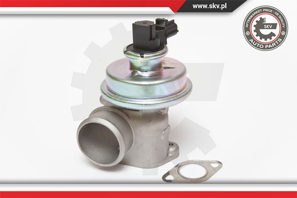 Zawór EGR ESEN SKV 14SKV061