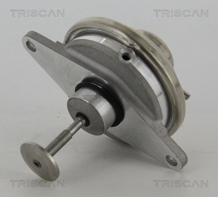 Zawór EGR TRISCAN 8813 24054