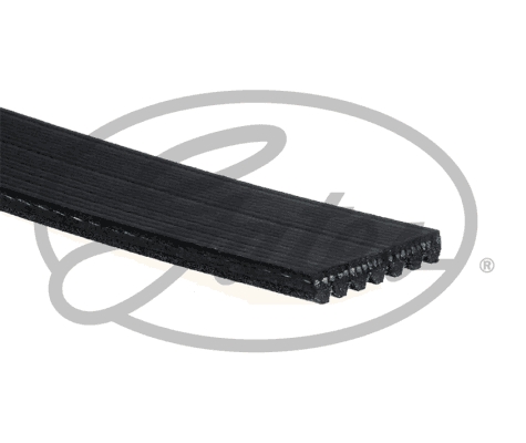 Pasek klinowy wielorowkowy GATES 7PK1070HD
